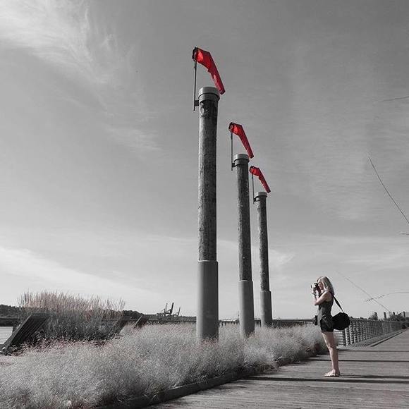 Meet your Posher, Sarah - Picture 1 of 1